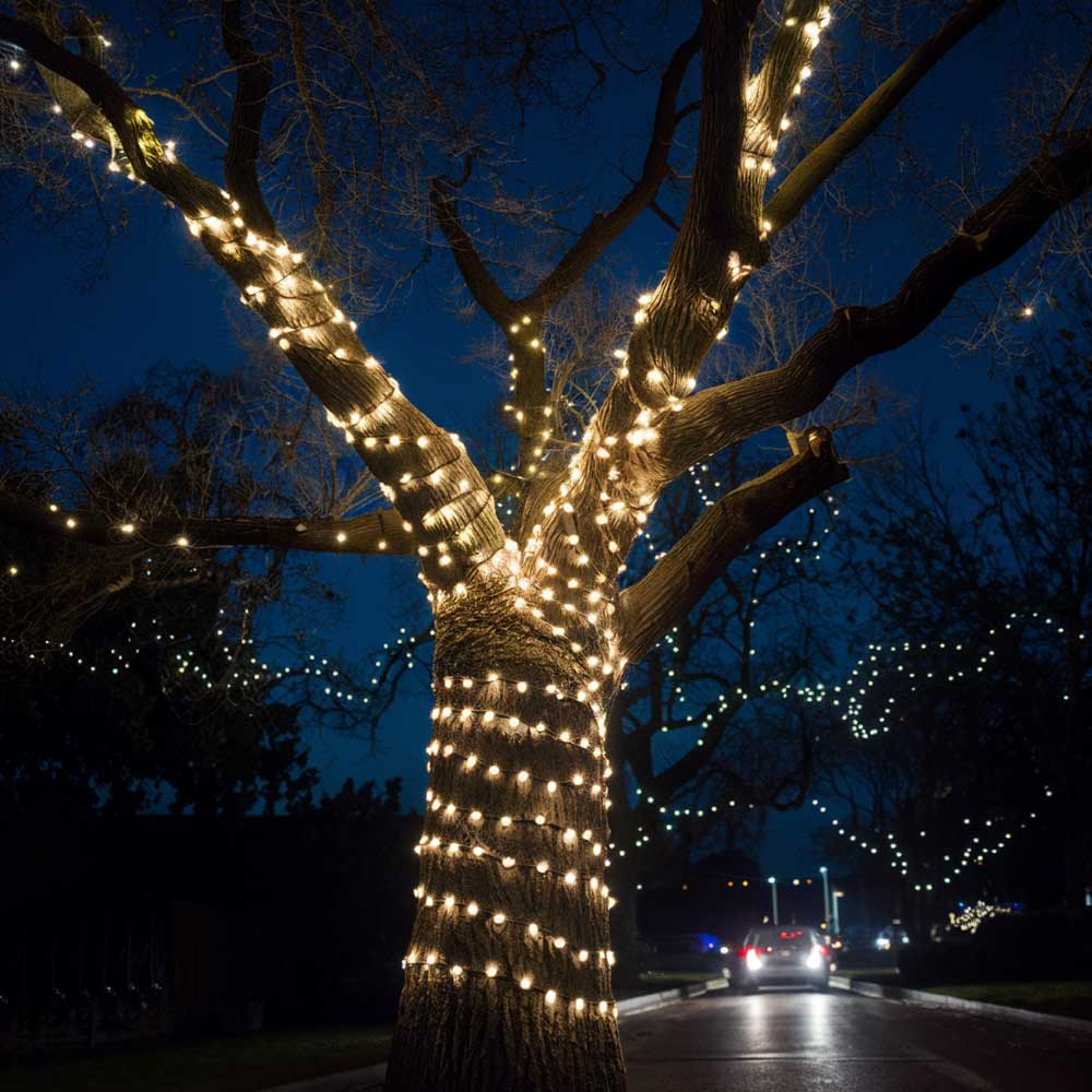 Гирлянды на дереве